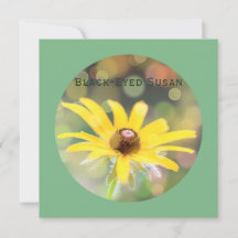 Susan Flower de olhos negros em verde-escuro