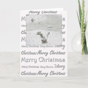 Cartão De Festividades Swans de inverno