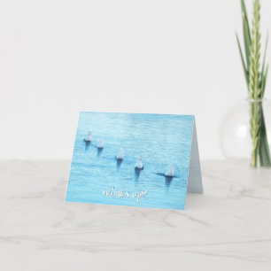 Cartão De Festividades Swans Engraçados O que há de novo no Vazio de Ocas