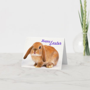 Cartão De Festividades Sweet Easter Card with Bunny