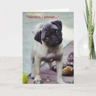 Cartão De Festividades Sweet Pug Puppy Valentine #1 Greeting Card
