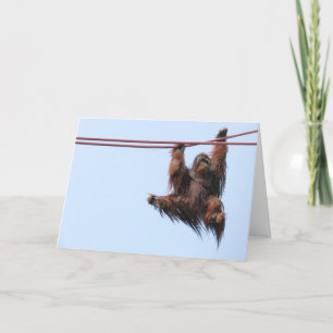 Cartão De Festividades Swing In The New Year