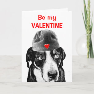 Cartão De Festividades Swiss Mountain Dog