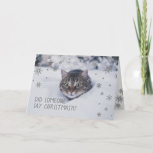 Cartão De Festividades Tabby Cat em Flocos de Neve Branca