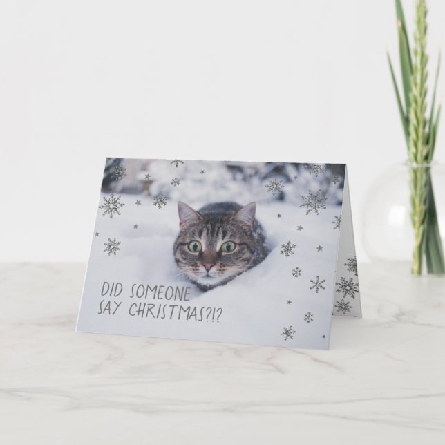 Cartão De Festividades Tabby Cat em Flocos de Neve Branca (Frente)