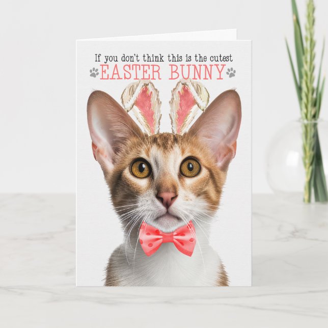 Cartão De Festividades Tabby Oriental Cat Cutest Paster Bunny Gatinho Pun (Frente)