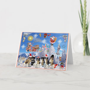 Cartão De Festividades Tarjeta de navidad Border Collie