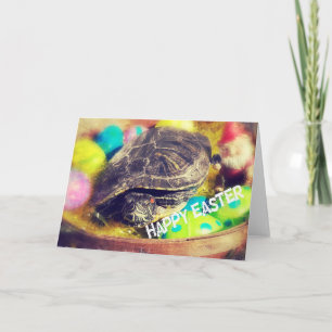Cartão De Festividades Tartaruga páscoa