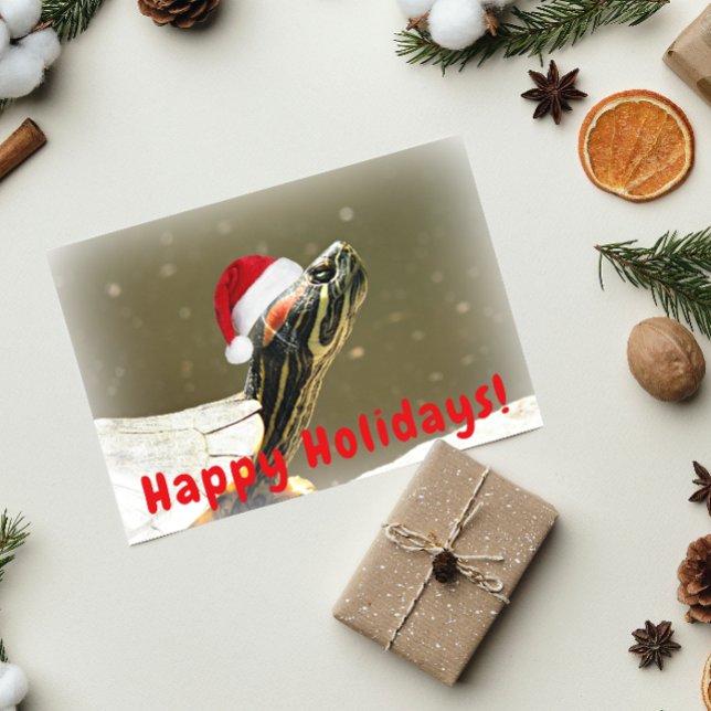 Cartão De Festividades Tartaruga Vestindo Papais noeis Vermelhos Boné Eng (In Situ)