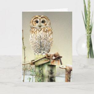Cartão De Festividades Tawny Owl in the snow fine art card