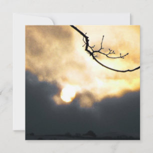 Cartão De Festividades Telefone do Sol de inverno