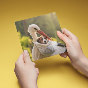 Cartão De Festividades Tempestade e filhote, personalizável