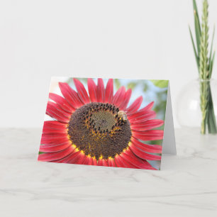 Cartão De Festividades Tempo de janto