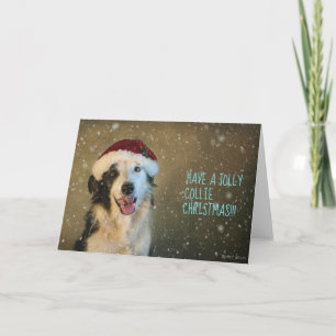 Cartão De Festividades Tenha um collie Cristmas alegre