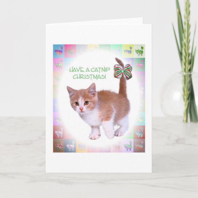 Cartão De Festividades Tenha um Natal do Catnip! (Frente)