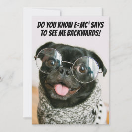 Cartão De Festividades Teoria engraçada do animal cachorro pug chinês fof
