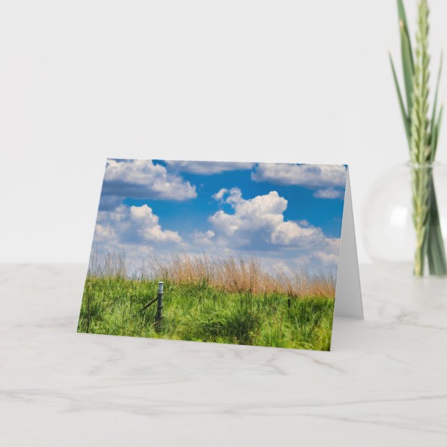 Cartão De Festividades Terra luxúria, África do Sul (Frente)