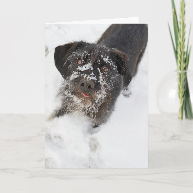 Cartão De Festividades Terrier com um Natal nevado do nariz (Frente)