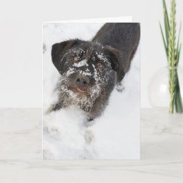 Cartão De Festividades Terrier com um Natal nevado do nariz