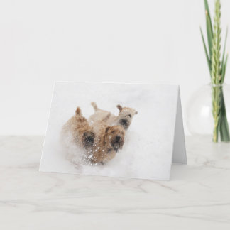 Cartão De Festividades Terrier Wheaten que funcionam na neve