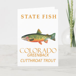 Cartão De Festividades Território do Colorado Peixe A Truta Greenback