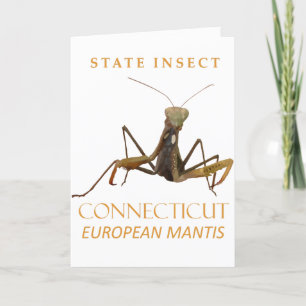 Cartão De Festividades Território Do Connecticut Insetam A Mantis Europei