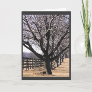 Cartão De Festividades Thank our Veterans 6