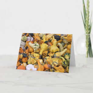 Cartão De Festividades Thanksgiving Gourds