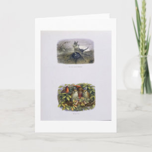 Cartão De Festividades The Fairy Queen's Messenger, and Elf and Owls, ill