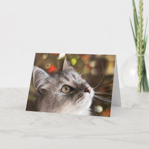 Cartão De Festividades The Wonder of Christmas (Card)
