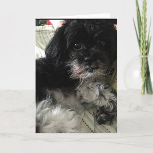 CARTÃO DE FESTIVIDADES "THINKING ABOUT HOW MUCH I LOVE YOU!" LOVE CARD