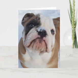 Cartão De Festividades Thor que o Feliz Natal do buldogue carda