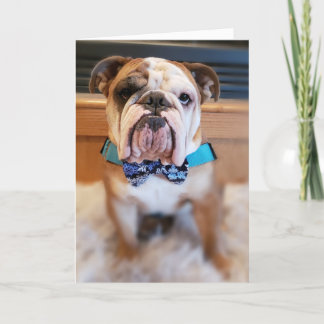 Cartão De Festividades Thor The Bulldog Merry Christmas Card