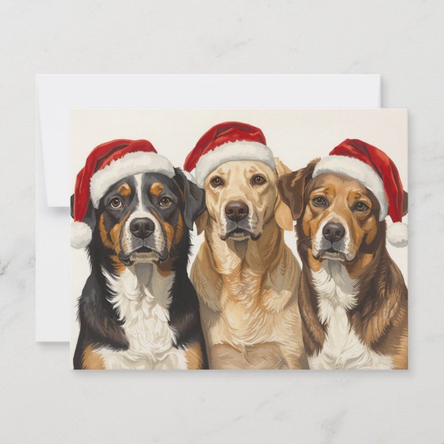 Cartão De Festividades Three Dogs Santa Hats Merry Christmas Trio (Frente)