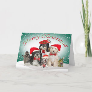 Cartão De Festividades Tibetano - Terrier Christmas com amigos