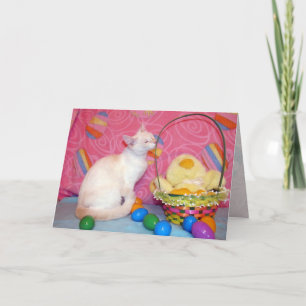 Cartão De Festividades Tiffany's Easter Wishes Greeting Card