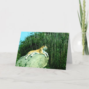 Cartão De Festividades Tigre relaxando 