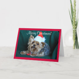 Cartão De Festividades Tiny Yorkie em Santa Hat