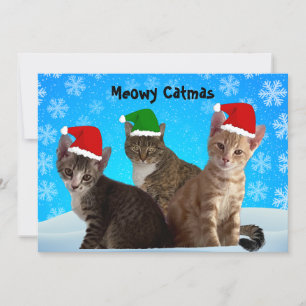 Cartão De Festividades Tito, Taz e Annie Desejando um Natal Feliz ao Gati