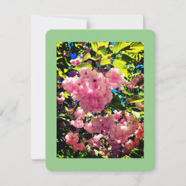 Cartão De Festividades Toda Placa Ocasião, Tamanho: 4,25" x 5,5", Papel: 