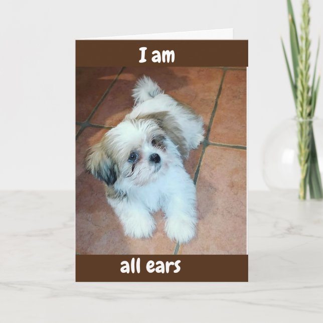 CARTÃO DE FESTIVIDADES **TODOS OS OUVIDOS/PRONTOS PARA OUVIR QUE VOCÊ TIN (Frente)