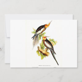 Cartão De Festividades Tomada de Cockatoo