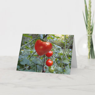 Cartão De Festividades Tomate em forma de coração "PICK ME!"