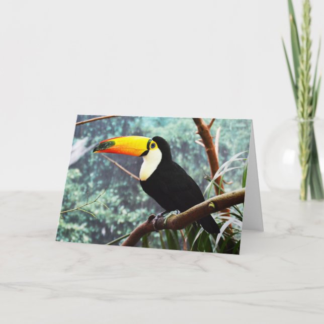 Cartão De Festividades Toucan (Frente)