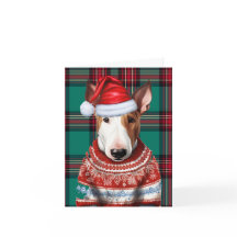 Touro Terrier Natal Cão Verde Xadrez Natal