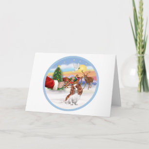 Cartão De Festividades Tratar um Blenheim Cavalier