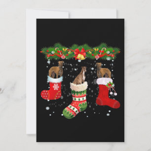 Cartão De Festividades Três Cães Greyhound em Meias de Natal Papai Noel
