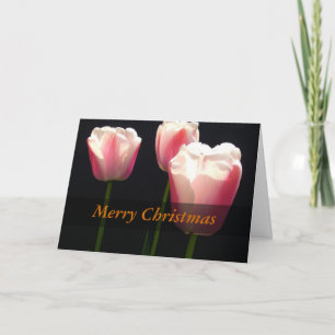 Cartão De Festividades Três flores de tulipa rosa. Natal, feriados.