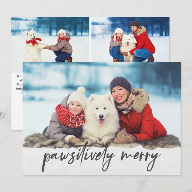 Cartão De Festividades Três Pet Fotografando Dizendo Feliz Pawsitivamente (Frente/Verso)