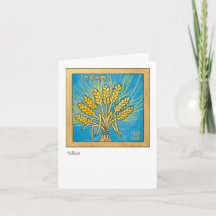 Trigo, uma das sete espécies de Israel